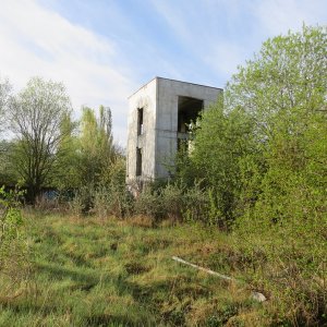 IMG_0020.JPG
