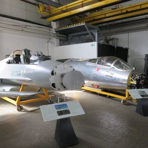 IMG_0488.JPG