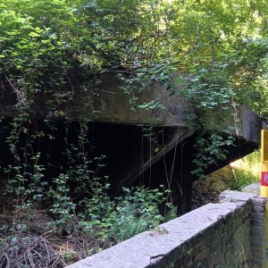 Medium 'IMG20250510160645.jpg' in der Kategorie 'Bergbau und Naturhöhlen'