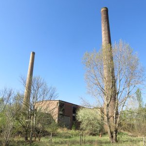 IMG_8664.JPG