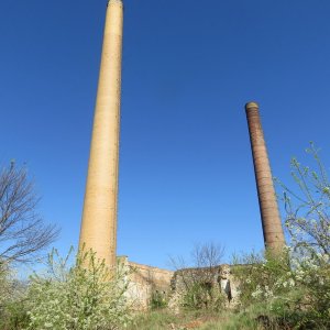 IMG_8646.JPG