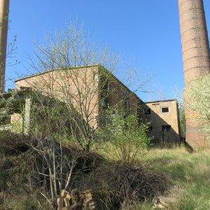 IMG_8648.JPG