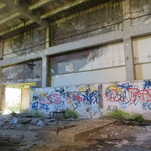 IMG_8650.JPG