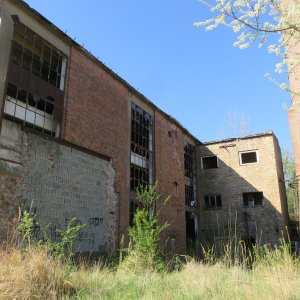 IMG_8659.JPG
