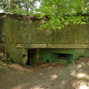 Buhlert_Bu-135_F02-202505.JPG