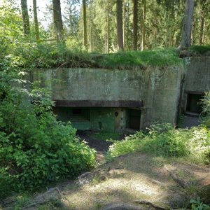 Buhlert_Bu-132_F01-202505.JPG