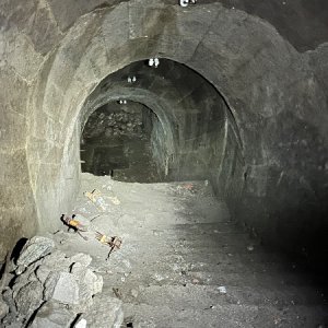 IMG_7498.jpeg