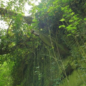 Fort_VII-F06_202505.JPG