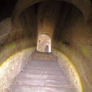 Fort_VII-F25_202505.JPG