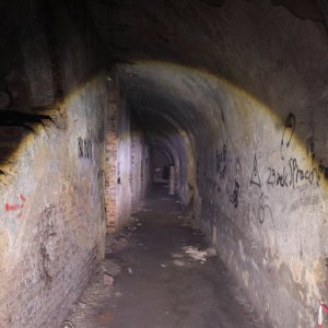 Fort_VII-F29_202505.JPG