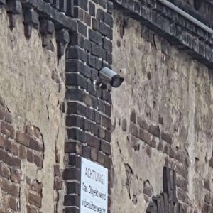 IMG_0198.jpeg