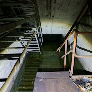 IMG_0204.jpeg