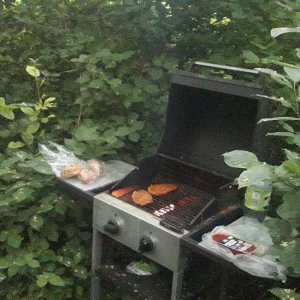 20250606_201443.jpg