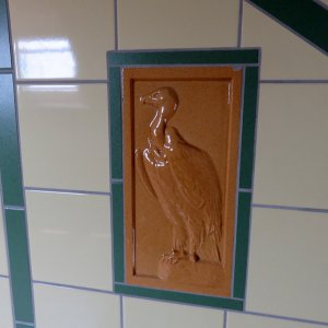 1-IMG_4782.JPG