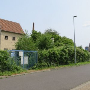 267-IMG_4675.JPG