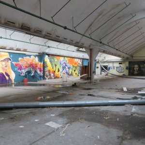 384-IMG_4251.JPG