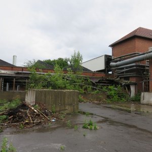 455-IMG_4322.JPG