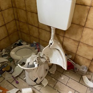 IMG_4806.jpeg