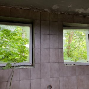 IMG_4812.jpeg