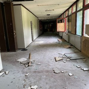 IMG_4863.jpeg