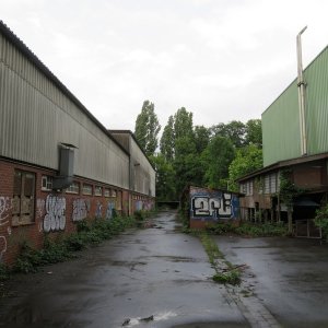 495-IMG_4362.JPG