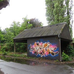 499-IMG_4366.JPG