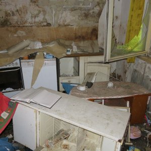 610-IMG_3778.JPG