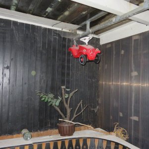 685-IMG_3853.JPG