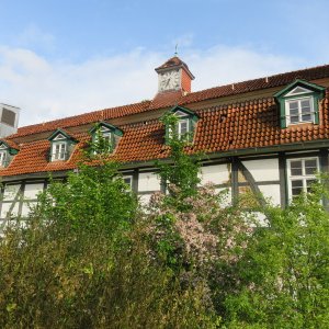 566-IMG_3734.JPG