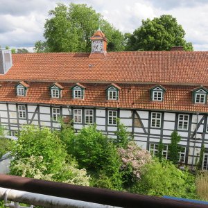 430-IMG_3598.JPG