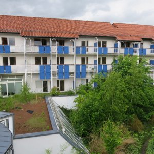 558-IMG_3726.JPG