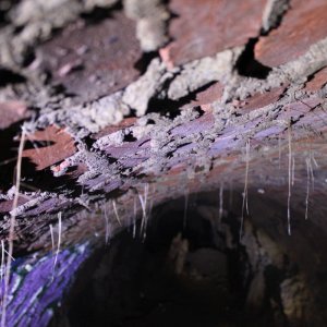 Medium 'IMG_2371.JPG' in der Kategorie 'U - Verlagerungen'