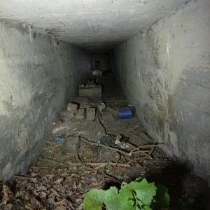 IMG20250523185102.jpg