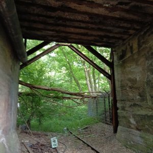 IMG20250523190031.jpg