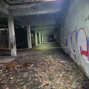 20250624_164037.jpg