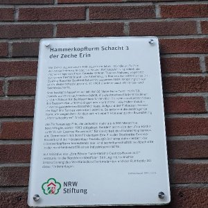 20250626_215140.jpg