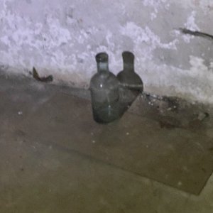IMG_0464.jpeg
