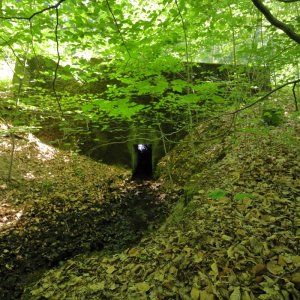 Rennweg_KöFo_F03-202507.JPG