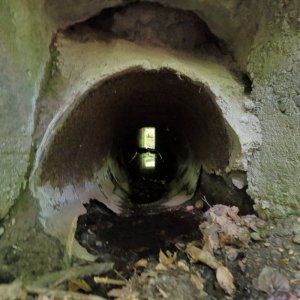 Rennweg_KöFo_F06-202507.JPG