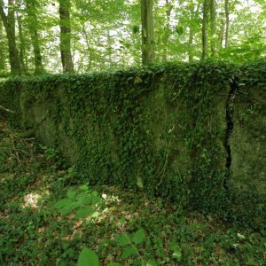 Rennweg_KöFo_F08-202507.JPG