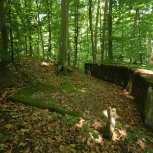 Rennweg_KöFo_F13-202507.JPG