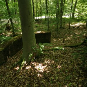 Rennweg_KöFo_F14-202507.JPG
