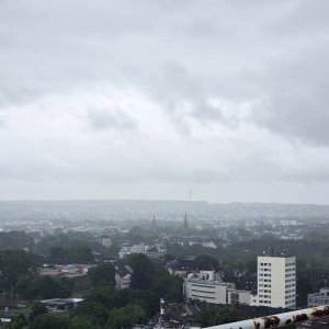 20250706_161710.jpg