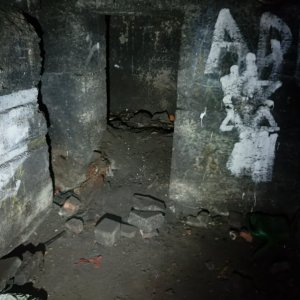 IMG20250706113530.jpg