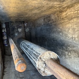 IMG_1072.jpeg