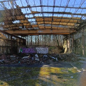 Medium 'IMG20250216142448.jpg' in der Kategorie 'Bergbau und Naturhöhlen'