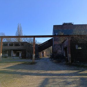 IMG20250216142509.jpg