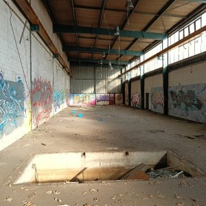 IMG20250216152518.jpg