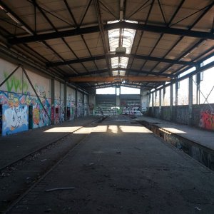 1000095596.jpg