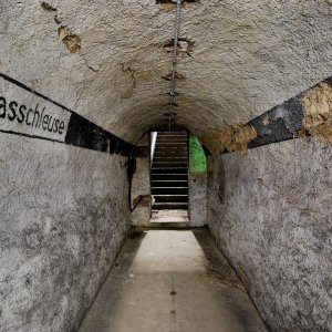 DSC_1502.JPG